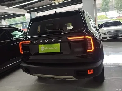 2022 Haval Big Dog 1.5T DCT FWD Labrador Edition, фото 4, лот 10361287
