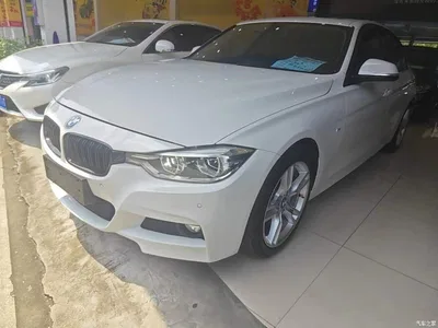 2018 BMW 3 Series 320Li Leading M Sport Package, фото 2, лот 10576146