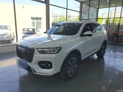 2021 Haval H6 1.5GDIT Automatic Champion Edition, фото 1, лот 10284158