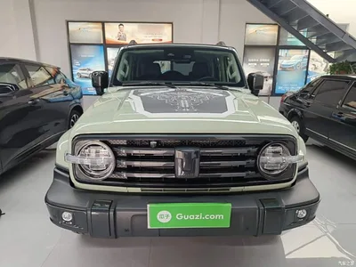 2021 Tank 300 Urban Edition 2.0T Stylish, фото 3, лот 11133754