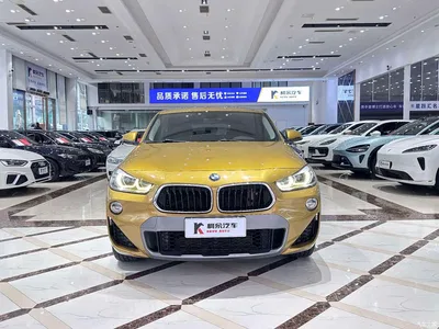 2019 BMW X2 (Import) sDrive25i Leading M Off-Road Package China VI, фото 3, лот 10418250