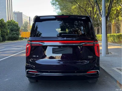 2024 Hongqi HQ9 PHEV Model 2.0T AWD Luxury Edition, фото 4, лот 11570589