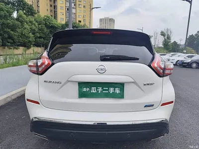 2019 Nissan Murano 2.5L XL 2WD Smart Connect Luxury Edition (China VI), фото 4, лот 10346893