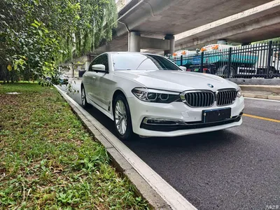 2019 BMW 5 Series 530Li Leading M Sport Package, фото 3, лот 11221516