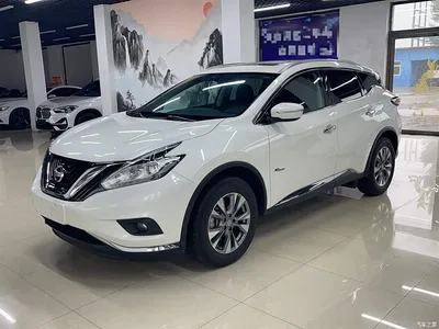 2017 Nissan Murano 2.5 S/C HEV XE 4WD Hybrid Premium Edition, фото 1, лот 10348898