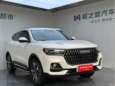 2023 Haval H6 National Trend Edition 1.5T Automatic Champion, фото 3, лот 10300195