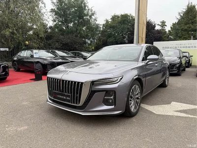 2023 Hongqi H5 2.0T Auto Smart Connect Flag Comfort, фото 1, лот 11183294