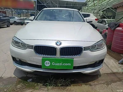 2015 BMW 3 Series 320Li Super Joy Fashion, фото 3, лот 10457720
