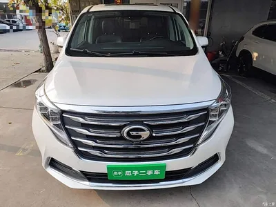 2018 GAC Trumpchi Trumpchi M8 320T Premium Edition, фото 3, лот 10804702