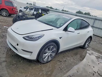 2021 TESLA MODEL Y, фото 1, лот 10853590