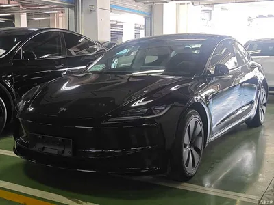 2023 Tesla Model 3 Rear-Wheel Drive, фото 1, лот 10392960