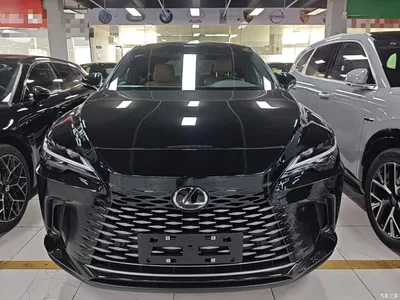 2026 Lexus RX 300 AWD Premium Edition, фото 3, лот 10888368