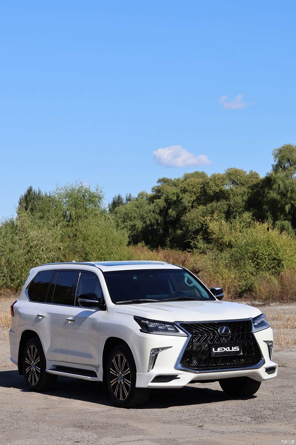 2019 Lexus LX, фото 3, лот 11215150