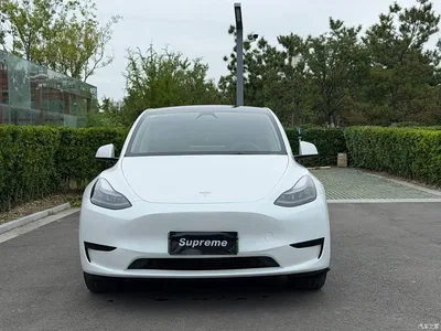 2024 Tesla Model Y Rear-Wheel Drive Version, фото 2, лот 10807895
