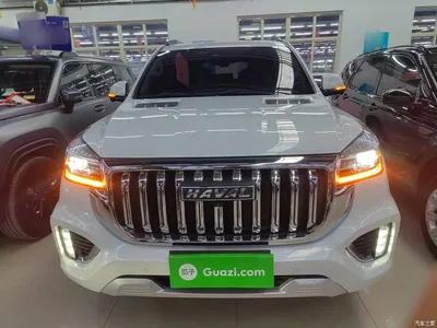 2022 Haval H9 2.0T Gasoline 4WD Premium 5-seater, фото 3, лот 10286278