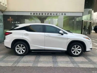 2016 Lexus RX 300 2WD Comfort Edition China V, фото 3, лот 10316345