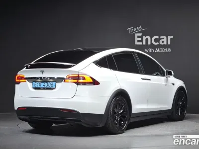2019 Tesla Model X 100D, фото 1, лот 10198488