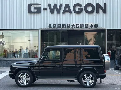 2009 Mercedes-Benz G-Class AMG AMG G 55, фото 2, лот 10299767