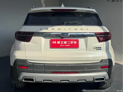 2020 Ford Territory S EcoBoost 145 CVT Platinum, фото 4, лот 10279597