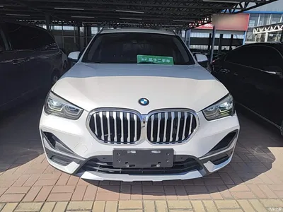 2020 BMW X1 xDrive25Li Premium Edition, фото 3, лот 10467301