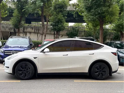 2024 Tesla Model Y Rear-Wheel Drive Version, фото 3, лот 10899894