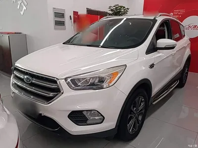2019 Ford Kuga EcoBoost 180 2WD Platinum Wing Edition China VI, фото 2, лот 11081012