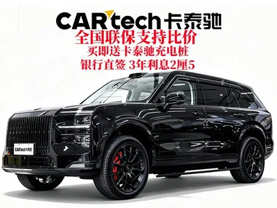 2025 ZEEKR 9X Standard Edition, фото 1, лот 10403542
