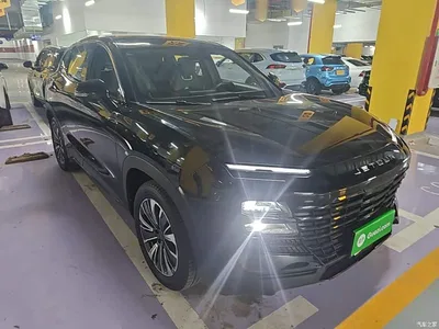 2023 Jetour Dasheng 1.6T DCT King PRO, фото 4, лот 10822553