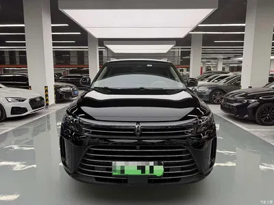 2024 AITO Wenjie AITO M7 1.5T RWD Plus 5-Seater, фото 2, лот 10276610