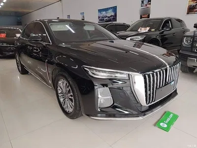 2025 Hongqi H5 1.5T DCT Flag Rhythm 500,000 Units Memorial Edition, фото 4, лот 10289283