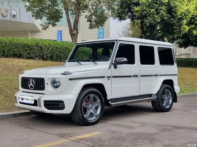 2017 Mercedes-Benz G-Class Model G 350 d, фото 1, лот 10253206