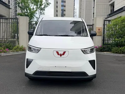 2024 Wuling Motors Wuling Yangguang 300km Comfort Passenger Version 60kW, фото 2, лот 11167631