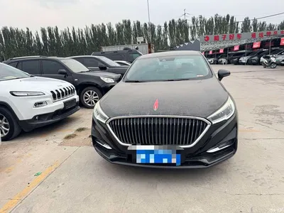 2019 Hongqi H5 30TD Agile Edition, фото 2, лот 11102584