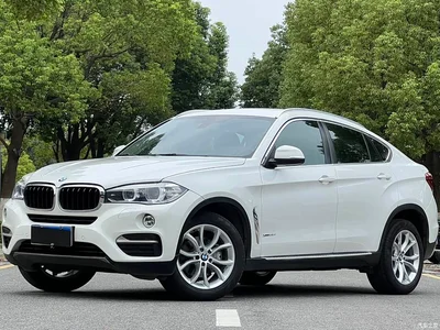 2015 BMW X6 xDrive35i Leading Type, фото 1, лот 10469332