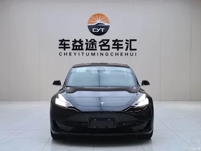 2020 Tesla Model 3 Standard Range Rear-Wheel Drive Upgrade, фото 2, лот 10956505