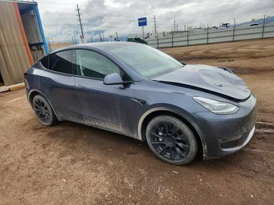 2023 TESLA MODEL Y, фото 4, лот 10851231