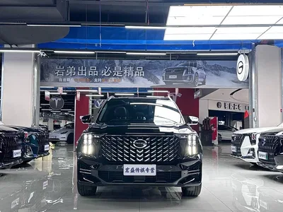 2022 GAC Trumpchi Trumpchi GS8 Pilot Series 2.0TGDI 2WD Premium Edition (7-Seater), фото 4, лот 11534116