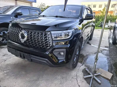 2023 Great Wall Pao 2.0T Commercial Auto Diesel 4WD Elite Long Box GW4D20M, фото 2, лот 10248931