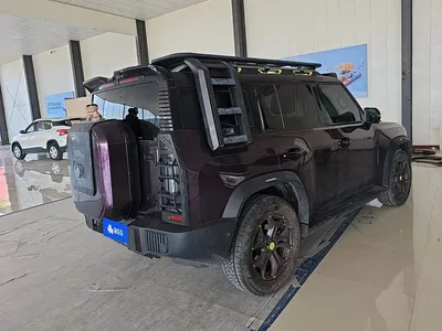 2024 Jetour Traveler 2.0T 4WD Cross PRO+ Entertainment Edition, фото 3, лот 10391374