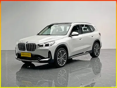 2023 BMW X1 xDrive25Li X Design Package, фото 1, лот 11087837