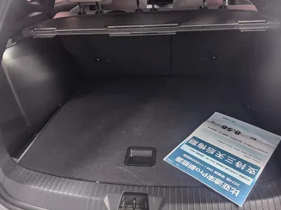 2024 BYD Song Pro New Energy Glory Edition DM-i 110KM Excellence, фото 4, лот 10448886