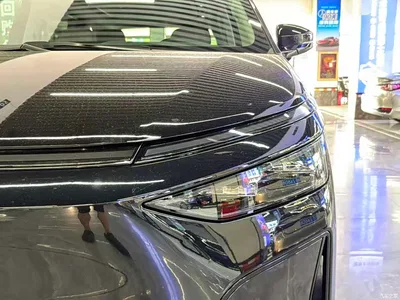 2025 XPeng X9 Extended Range Edition, фото 3, лот 10376339