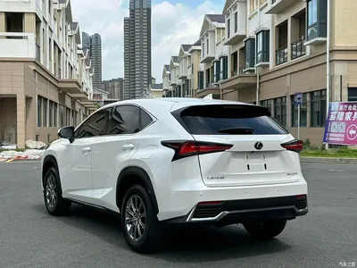 2018 Lexus NX Model 200 FWD Fengxing Edition China V, фото 4, лот 10317116