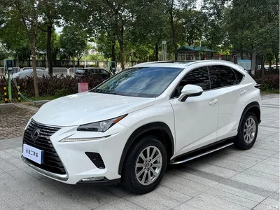 2020 Lexus NX 300h FWD F Sport China VI, фото 1, лот 10317845