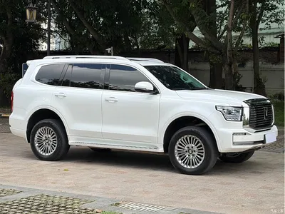2025 Tank 500 EV Hi4-Z, фото 2, лот 10399731