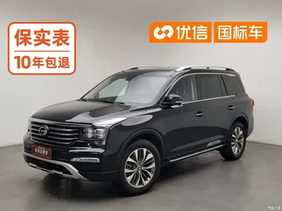2017 GAC Trumpchi Trumpchi GS8 320T 2WD Luxury Smart Connect (7-seater), фото 1, лот 10465934
