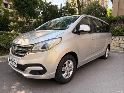 2018 SAIC Maxus Maxus G10 PLUS 2.0T Automatic Executive Edition, фото 1, лот 11162341