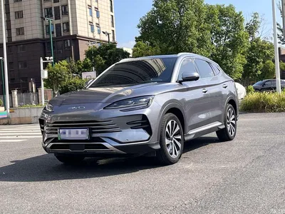 2023 BYD Song PLUS PHEV Champion Edition DM-i 110KM Flagship, фото 1, лот 11570098