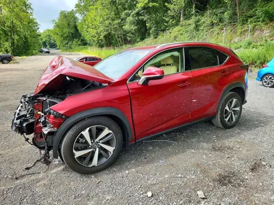 2018 LEXUS NX 300 BASE, фото 1, лот 10900395