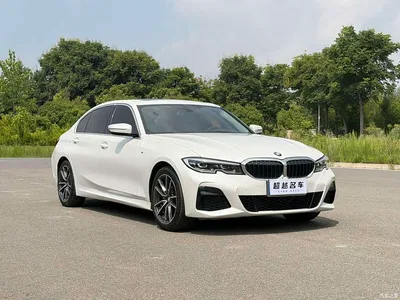 2022 BMW 3 Series 320Li M Sport Package, фото 3, лот 10888619